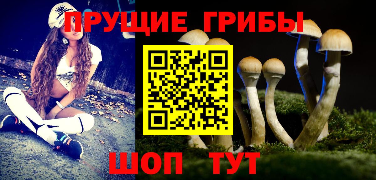 Галлюциногенные грибы мицелий  Псилоцибиновые грибы MAGIC MUSHROOMS  Вход с VPN  Коряжма 